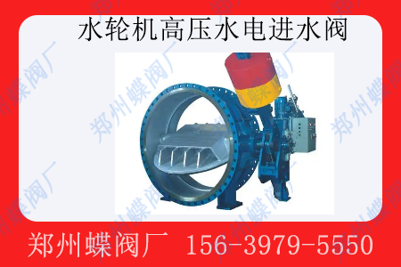 水輪機高壓（yā）水電進水閥通常用於（yú）什麽場（chǎng）景
